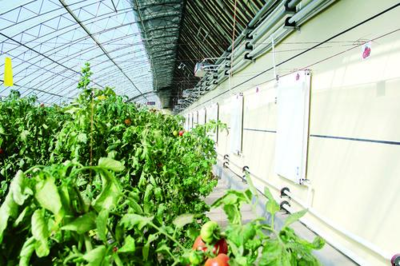 精準(zhǔn)服務(wù)為企業(yè)發(fā)展注入科技動(dòng)能