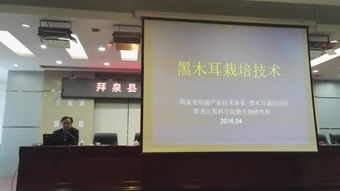 省農(nóng)業(yè)院校科技推廣服務(wù)聯(lián)盟專家赴拜泉縣指導(dǎo)食用菌生產(chǎn) 備春耕科技支農(nóng)活動系列報道之二