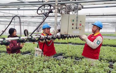 東臺(tái)供電:&ldquo;春檢&rdquo;服務(wù)工廠化育苗用電