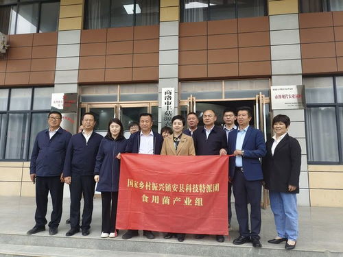 國家科技特派團食用菌體系專家在大坪鎮(zhèn)開展科技服務(wù)