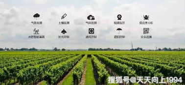 從碼鏈體系看智慧農(nóng)業(yè)的發(fā)展