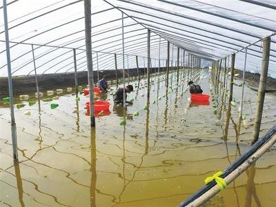 水產科技服務送到田間地頭