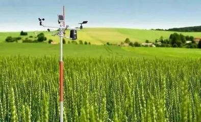 農業農村部制定《社會資本投資農業農村指引》,點名這些重點產業!