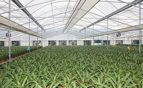 財政部公示21個國家現(xiàn)代農業(yè)產業(yè)園,服務現(xiàn)代農業(yè)我們是認真的