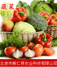 蔬菜企業(yè)大全 蔬菜企業(yè)大黃頁 蔬菜生產商