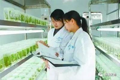 &ldquo;互聯(lián)網(wǎng)+農業(yè)&rdquo;