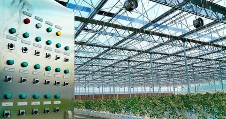 吐魯番數字設施農業建造聯系方式