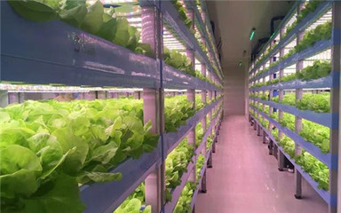 智能&rdquo;農(nóng)業(yè)怎么發(fā)展?看日本玩轉(zhuǎn)&ldquo;智能&rdquo;農(nóng)業(yè)!