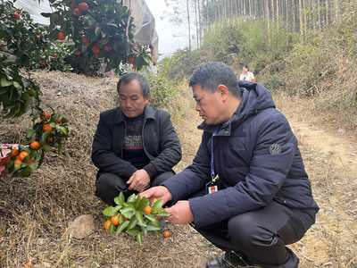 永?？h:迎春雨備春耕促春管