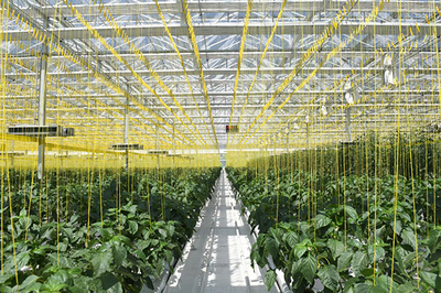 探索北方旱作農業提質增效路徑 山西農谷中博會上亮出成績單