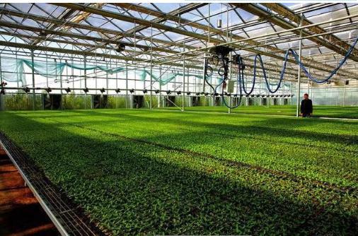 農(nóng)藥雙減技術(shù),助力鄉(xiāng)村振興