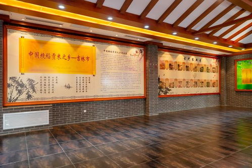 冰雪奇緣在吉林 冬季遛娃的農業(yè)科技之旅