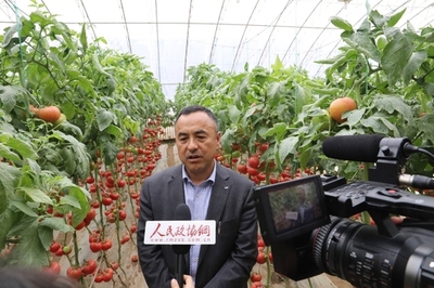 深耕研發(fā) 孕育希望——壽光市政協委員劉樹森的“種業(yè)夢”與農業(yè)科技服務